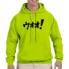 Gildan DryBlend Adult Hooded Sweatshirt Thumbnail
